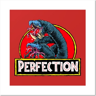 Perfection Posters and Art